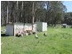 93 Tuglow Road, Gingkin NSW 2787