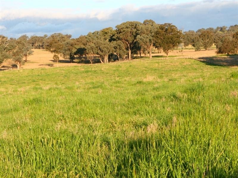 0 Main Street, Molong NSW 2866