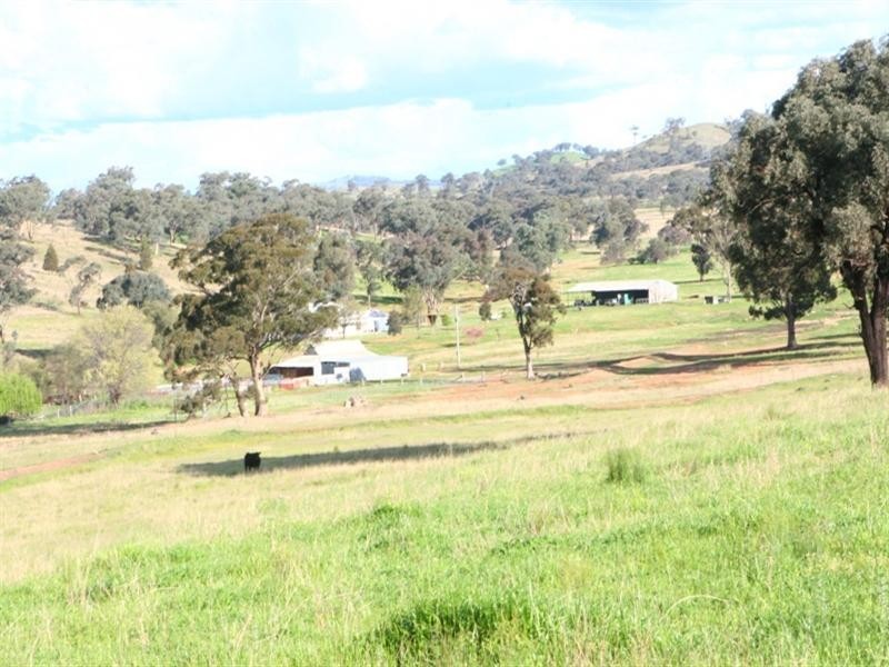 0 Main Street, Molong NSW 2866