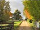 384 Eleven Mile Drive, Bathurst NSW 2795