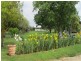 384 Eleven Mile Drive, Bathurst NSW 2795