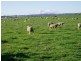 384 Eleven Mile Drive, Bathurst NSW 2795