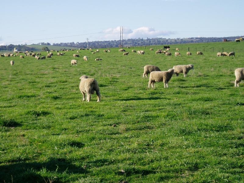 384 Eleven Mile Drive, Bathurst NSW 2795