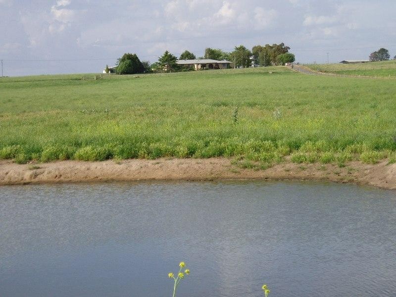 384 Eleven Mile Drive, Bathurst NSW 2795
