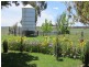 384 Eleven Mile Drive, Bathurst NSW 2795