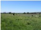 384 Eleven Mile Drive, Bathurst NSW 2795