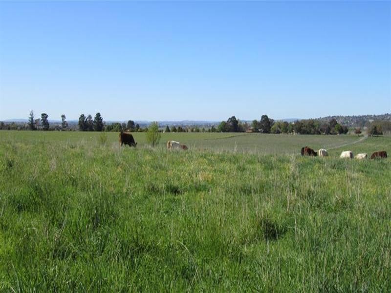 384 Eleven Mile Drive, Bathurst NSW 2795