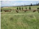 384 Eleven Mile Drive, Bathurst NSW 2795