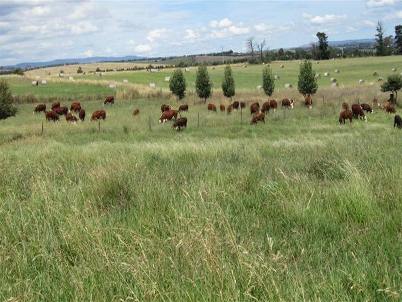 384 Eleven Mile Drive, Bathurst NSW 2795