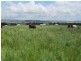 384 Eleven Mile Drive, Bathurst NSW 2795