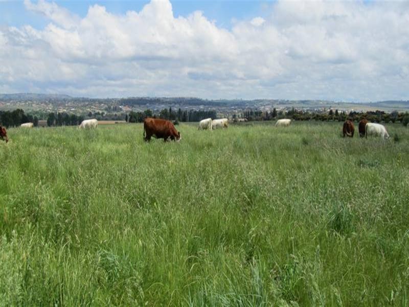 384 Eleven Mile Drive, Bathurst NSW 2795