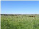 384 Eleven Mile Drive, Bathurst NSW 2795