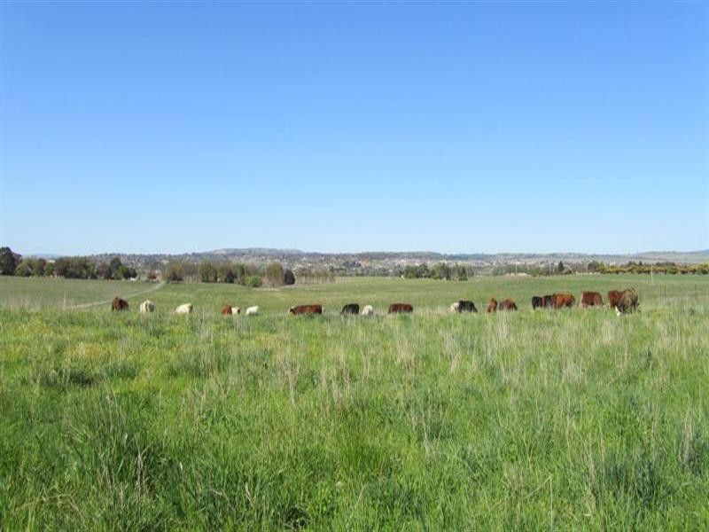 384 Eleven Mile Drive, Bathurst NSW 2795