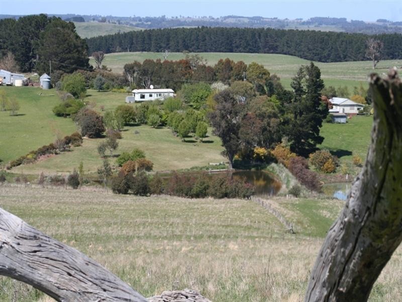 1000 Dog Rocks Road, Black Springs NSW 2787