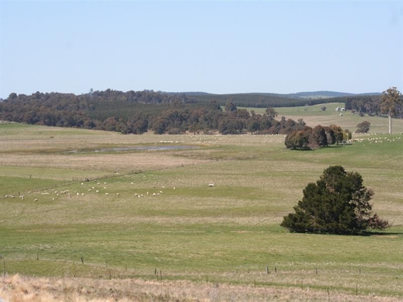 1000 Dog Rocks Road, Black Springs NSW 2787