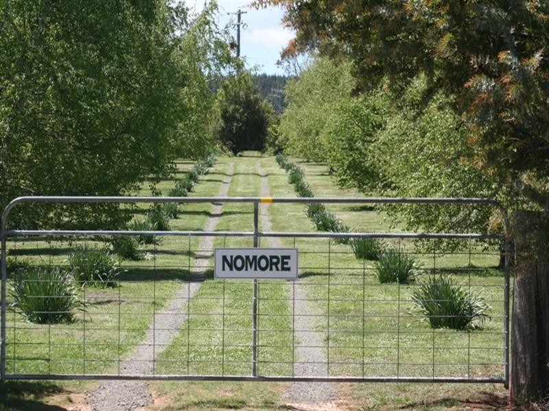 1000 Dog Rocks Road, Black Springs NSW 2787