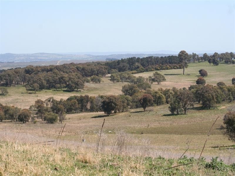 1000 Dog Rocks Road, Black Springs NSW 2787