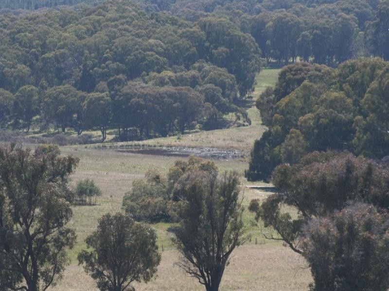 1000 Dog Rocks Road, Black Springs NSW 2787