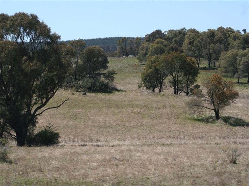 1000 Dog Rocks Road, Black Springs NSW 2787