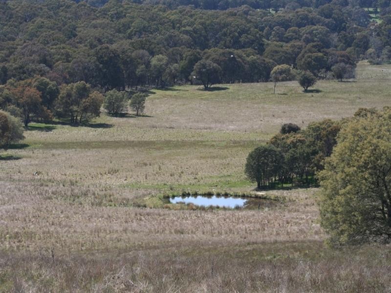 1000 Dog Rocks Road, Black Springs NSW 2787