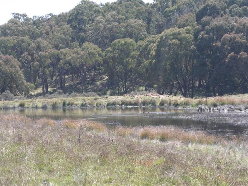 1000 Dog Rocks Road, Black Springs NSW 2787