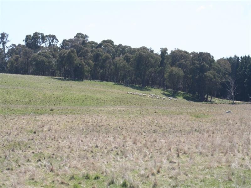 1000 Dog Rocks Road, Black Springs NSW 2787