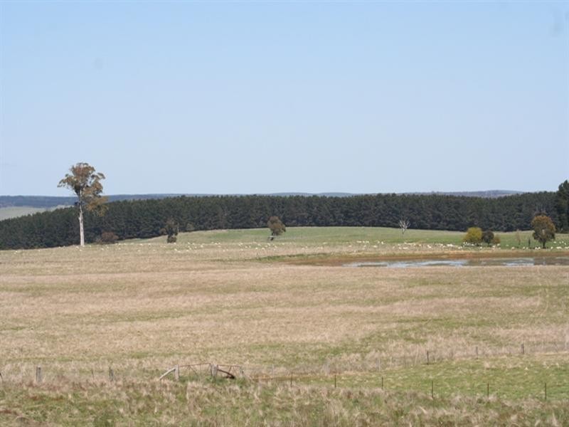 1000 Dog Rocks Road, Black Springs NSW 2787