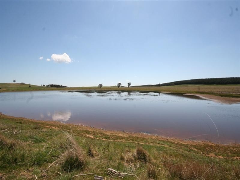 1000 Dog Rocks Road, Black Springs NSW 2787