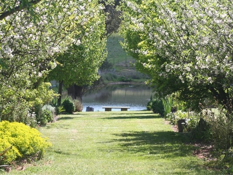 1000 Dog Rocks Road, Black Springs NSW 2787