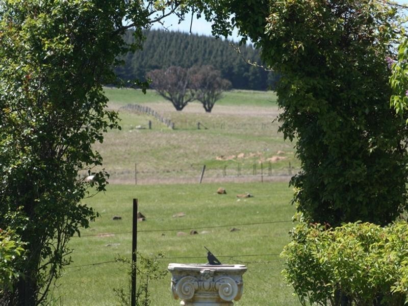 1000 Dog Rocks Road, Black Springs NSW 2787