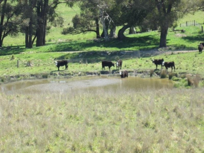 3139 Abercrombie Road, Black Springs NSW 2787