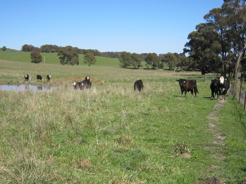 3139 Abercrombie Road, Black Springs NSW 2787