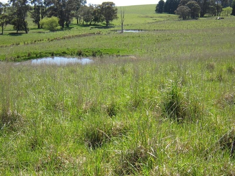 3139 Abercrombie Road, Black Springs NSW 2787