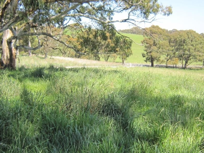 3139 Abercrombie Road, Black Springs NSW 2787