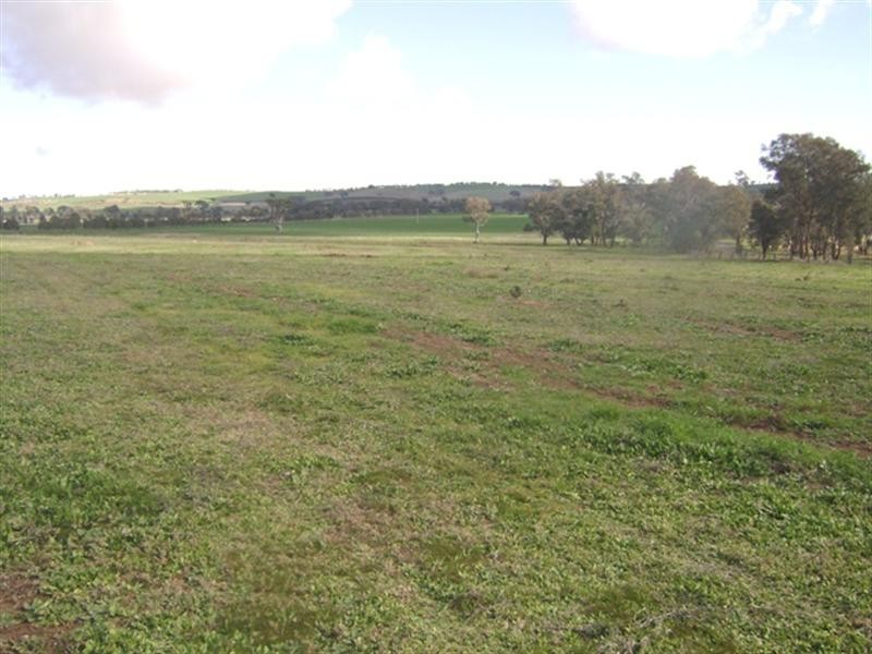 Lot 2/575 Wirrimah Road, Wirrimah NSW 2803