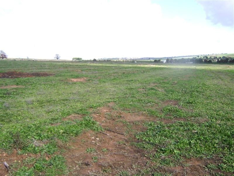 Lot 2/575 Wirrimah Road, Wirrimah NSW 2803