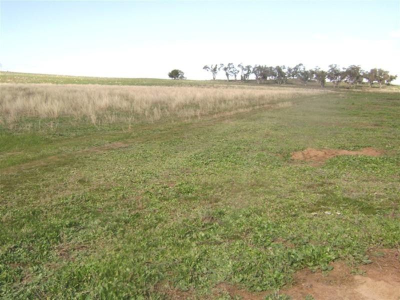Lot 2/575 Wirrimah Road, Wirrimah NSW 2803