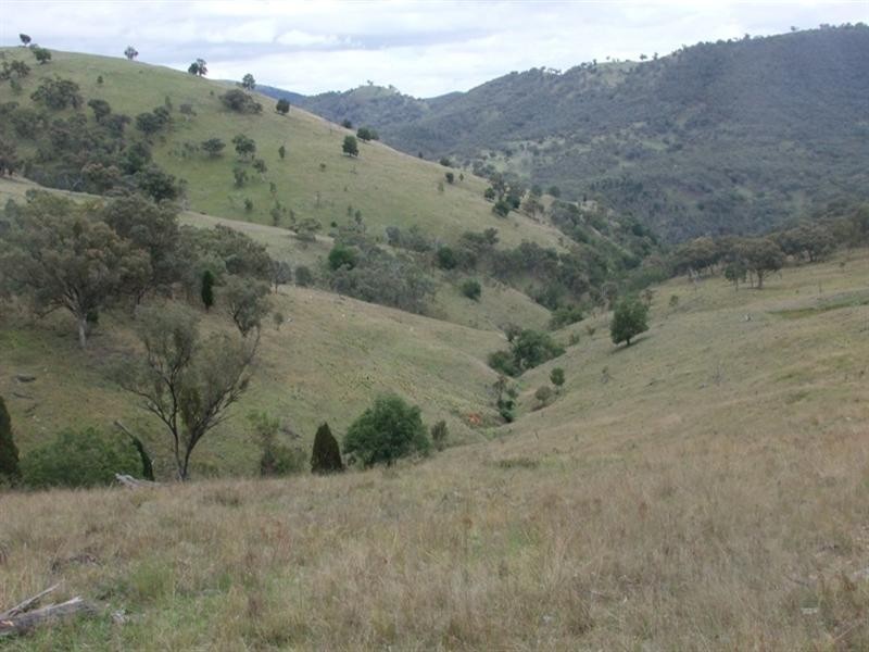 3780 Freemantle Road, Bathurst NSW 2795