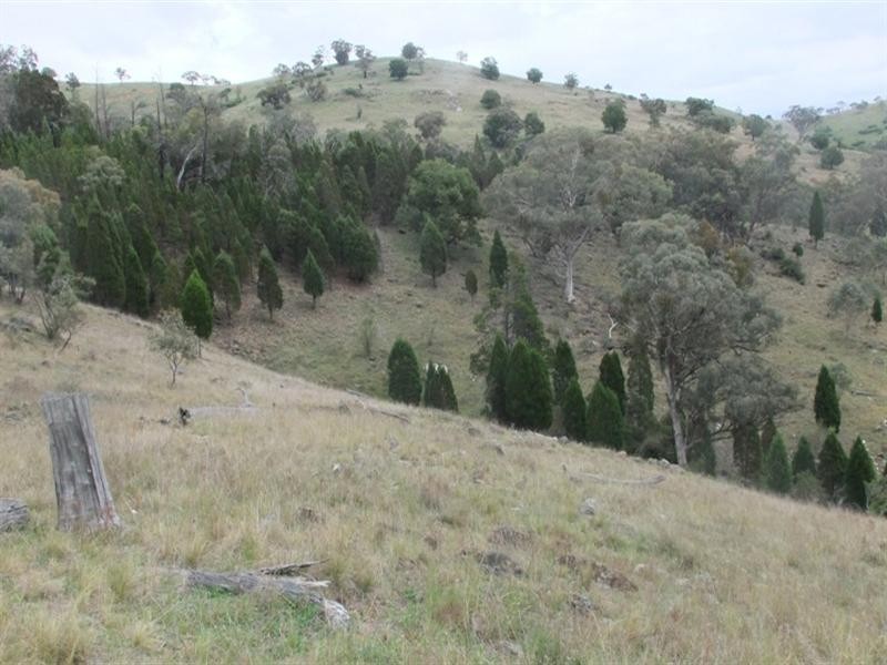 3780 Freemantle Road, Bathurst NSW 2795