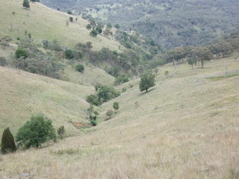 3780 Freemantle Road, Bathurst NSW 2795