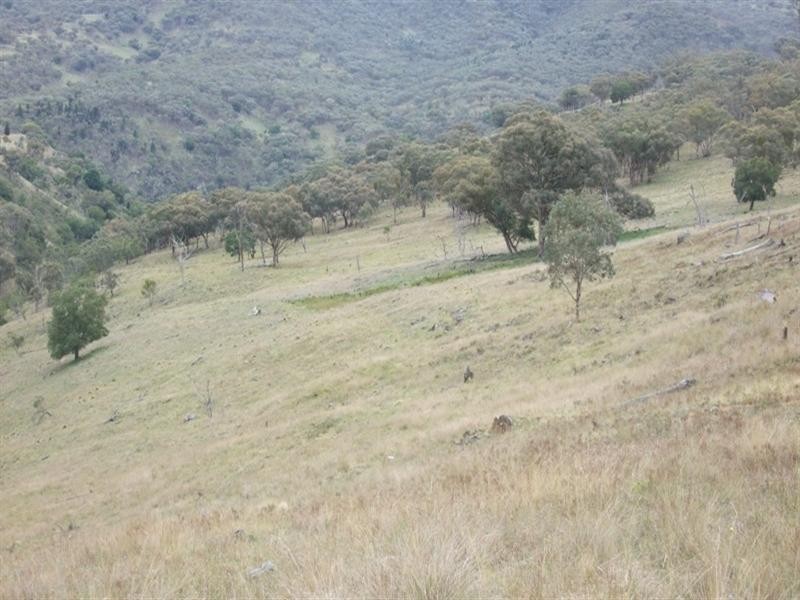 3780 Freemantle Road, Bathurst NSW 2795