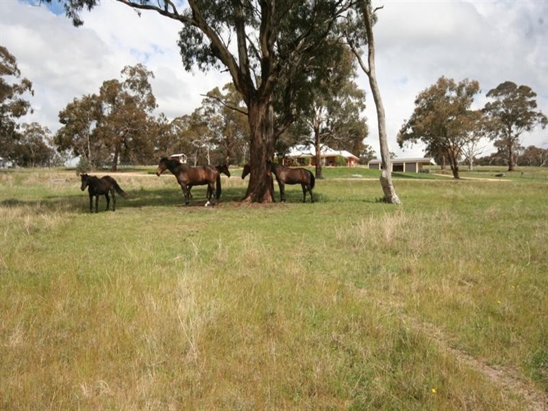 475 Bloomhill Road, O’connell NSW 2795