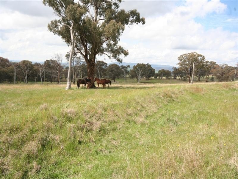 475 Bloomhill Road, O’connell NSW 2795