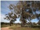 475 Bloomhill Road, O’connell NSW 2795