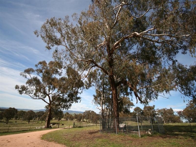 475 Bloomhill Road, O’connell NSW 2795