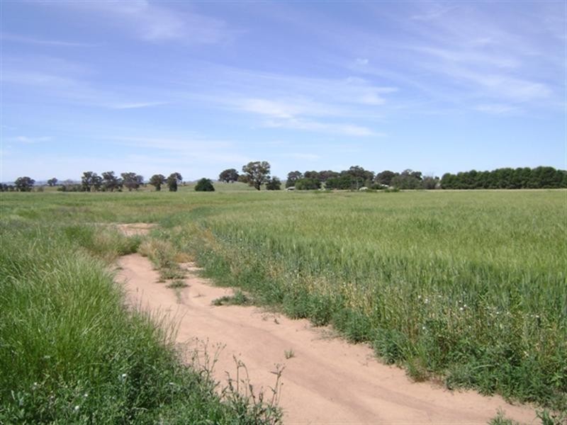 472 Barrs Road, Cowra NSW 2794