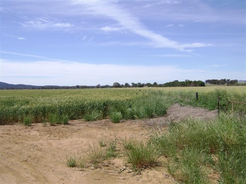 472 Barrs Road, Cowra NSW 2794