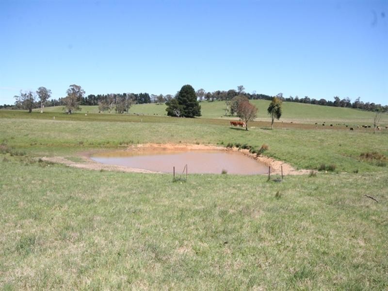 267 McKeons Creek Road, Edith NSW 2787