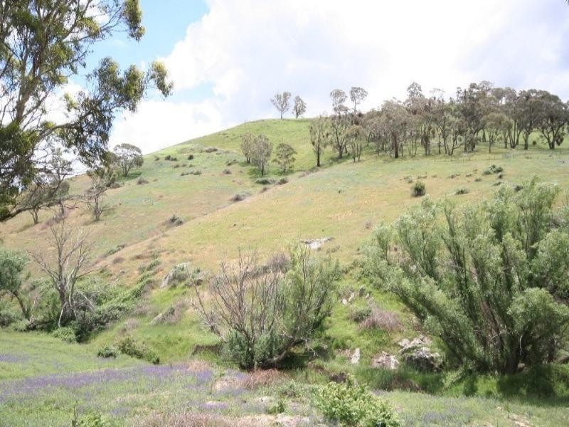 Wisemans Creek NSW 2795