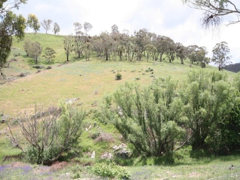 Wisemans Creek NSW 2795